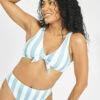 The Swim Plunge Bralette: Cabana Stripe -Wear Lively Shop 1 on model front swim plunge bralette cabana stripe